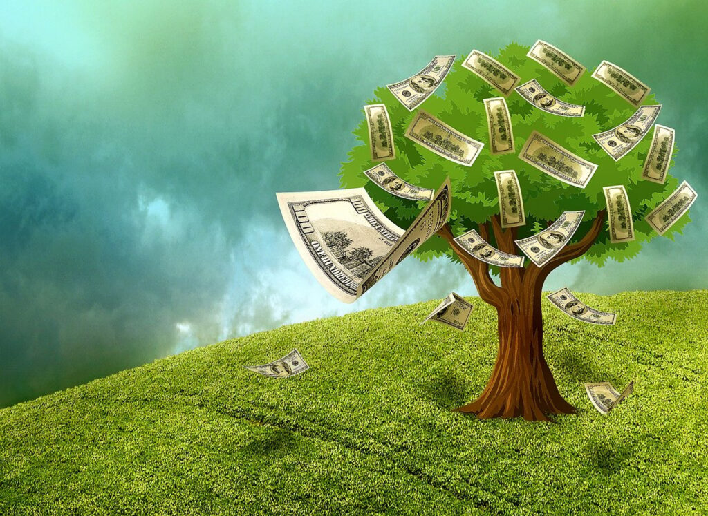 What Financial freedom is not. Picture of a tree whose fruit is cash . Financial freedom is not a Ponzi scheme.