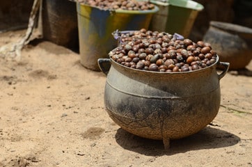 A full pot of shea nuts ready for heating.