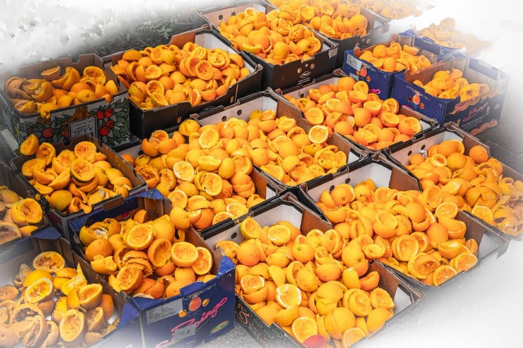 Boxes of Orange peel for dehydration.